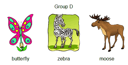 group-d