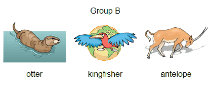group-b