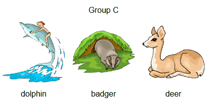 group-c