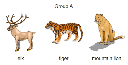 group-a
