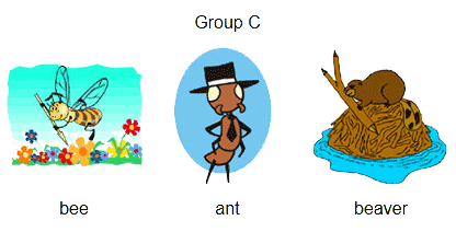 group-c