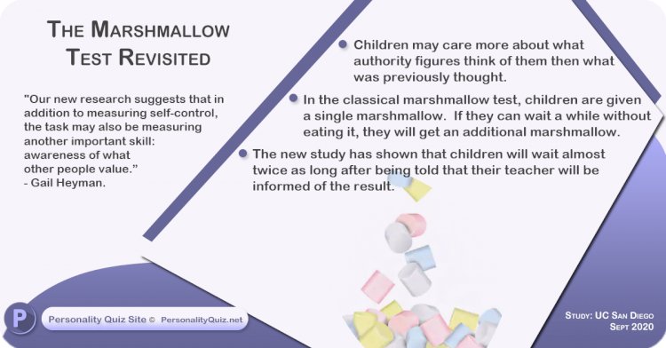 The marshmallow test revisited