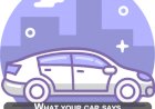 What your car says about your personality