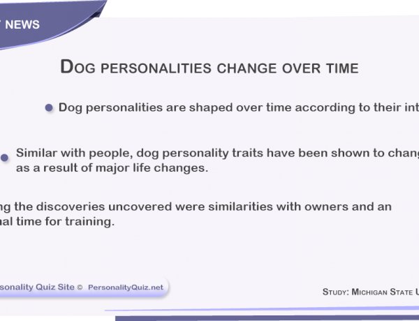 Dog personalities change over time