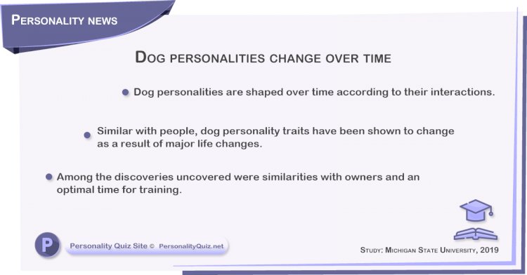 Dog personalities change over time